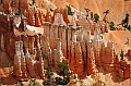 Bryce Canyon-Viaggi-6
